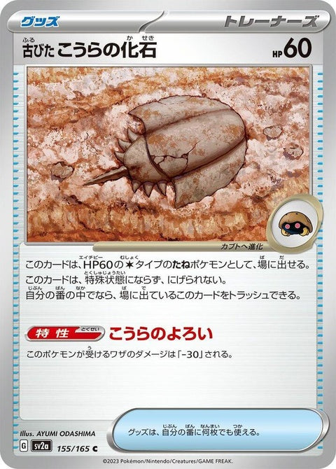 155-antiquedomefossil