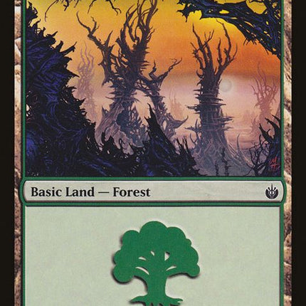 155-forest