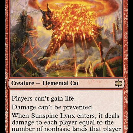 155-sunspinelynx
