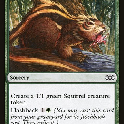 157-chatterofthesquirrel