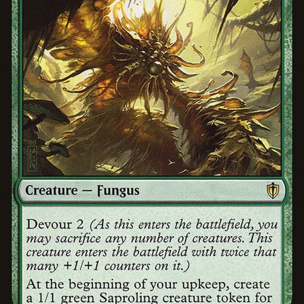 158-mycoloth