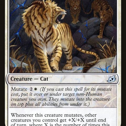 16-huntmasterliger