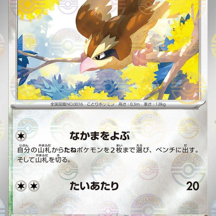 16-pidgey-pokeballpattern