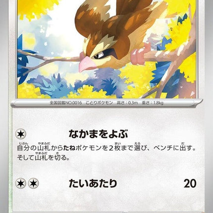 16-pidgey