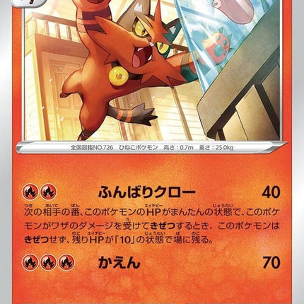 16-torracat