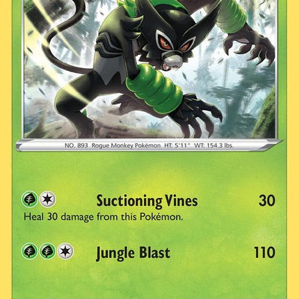 16-zarude