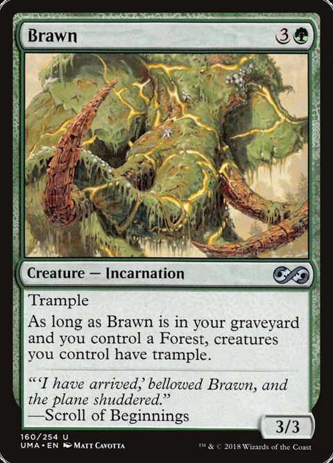 160-brawn