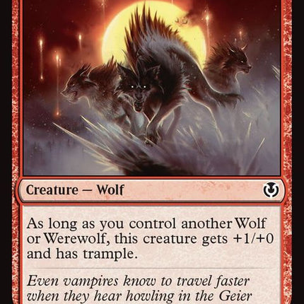 160-hungryridgewolf