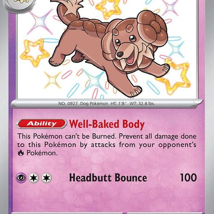 161-dachsbun