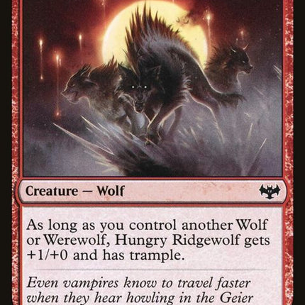 161-hungryridgewolf