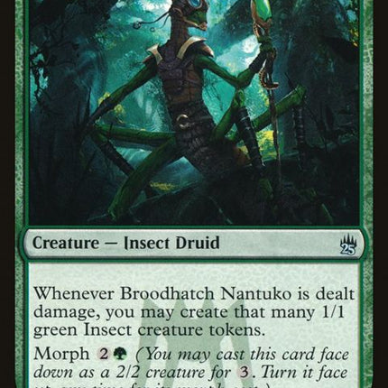 162-broodhatchnantuko