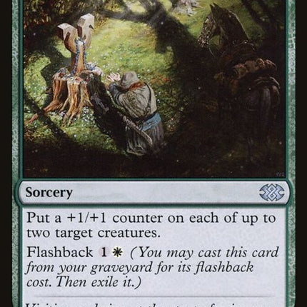 162-travelpreparations