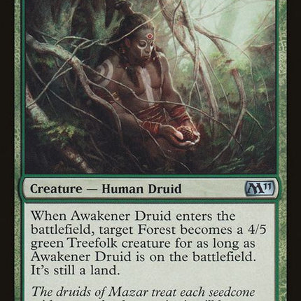 163-awakenerdruid