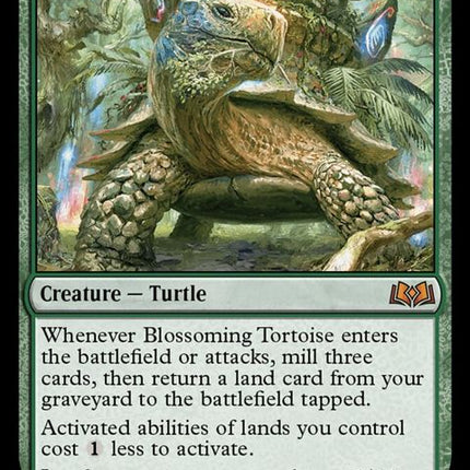 163-blossomingtortoise