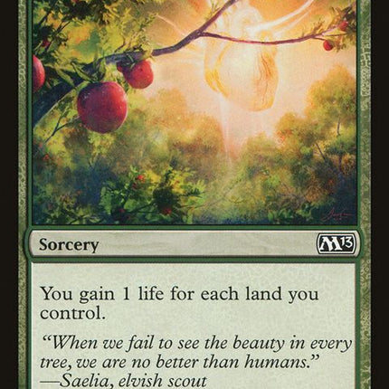 163-bountifulharvest