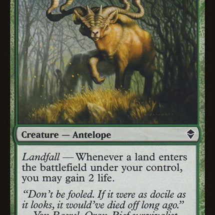 163-grazinggladehart