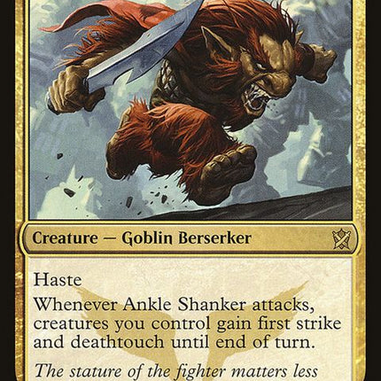 164-ankleshanker