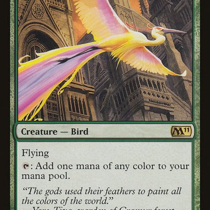 165-birdsofparadise