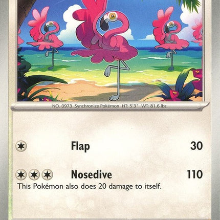 165-flamigo