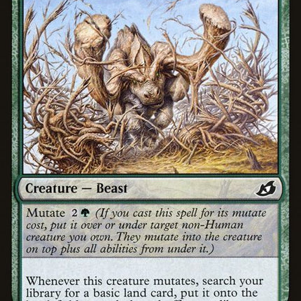 165-migratorygreathorn