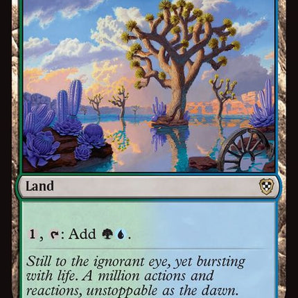 165-overflowingbasin