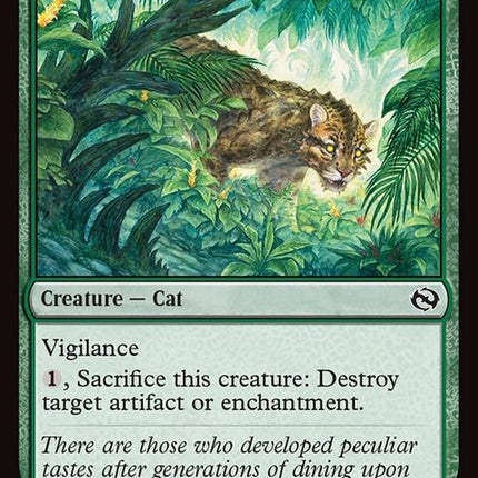 165-undergrowthleopard