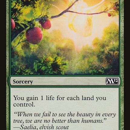 166-bountifulharvest