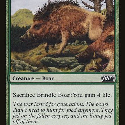 166-brindleboar