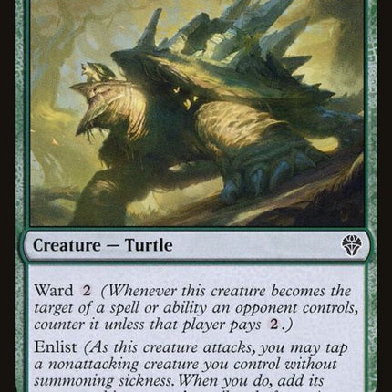 166-hexbanetortoise