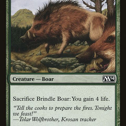 167-brindleboar