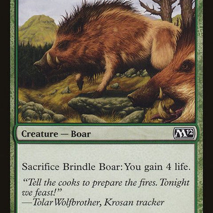 167-brindleboar