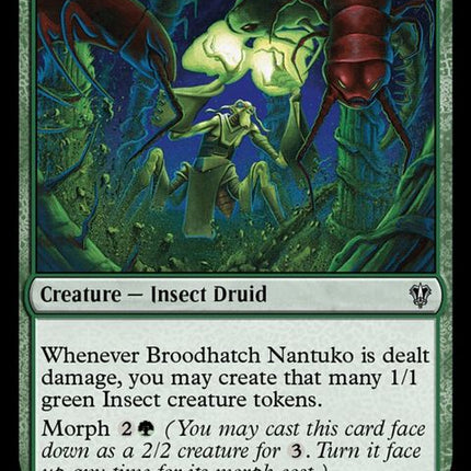 167-broodhatchnantuko