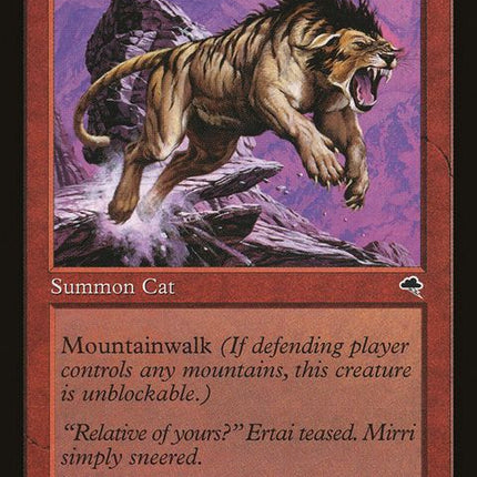 167-canyonwildcat