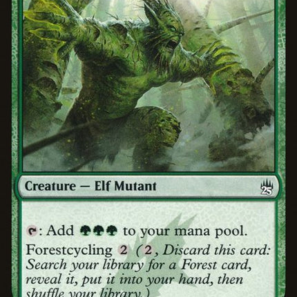 167-elvishaberration