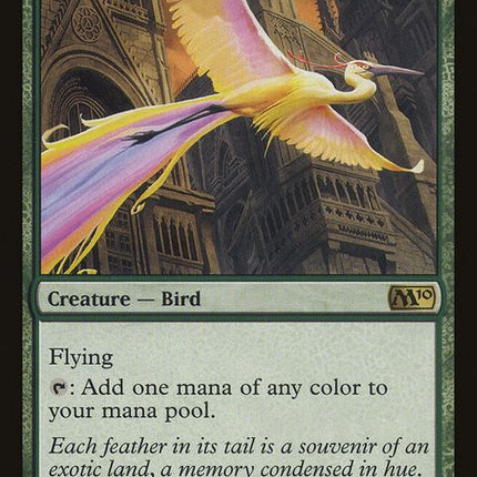 168-birdsofparadise