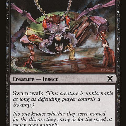168-plaguebeetle