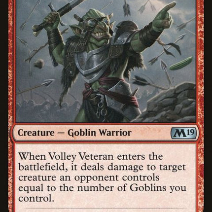 168-volleyveteran