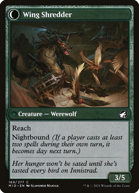 169-birdadmirerwingshredder
