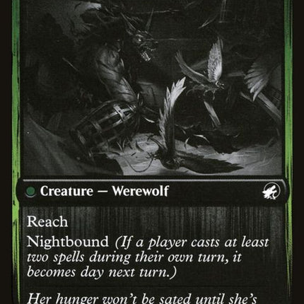 169-birdadmirerwingshredder