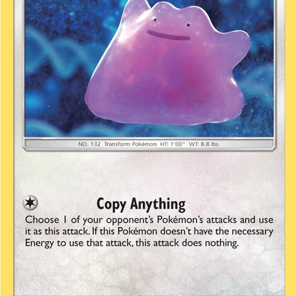 17-ditto
