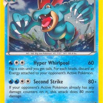 17-feraligatr-cosmosholo