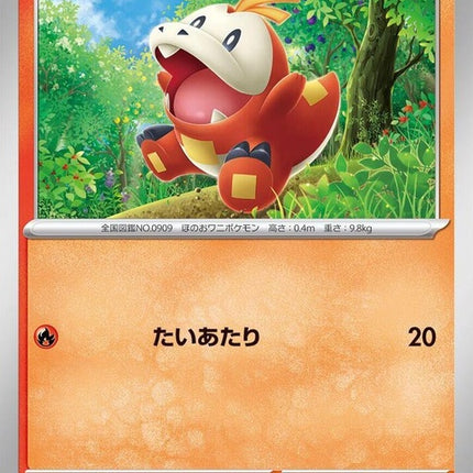 17-fuecoco