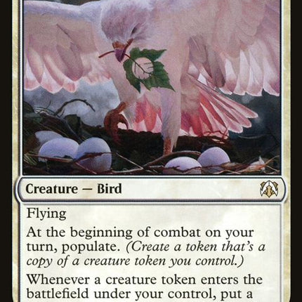 17-nestingdovehawk