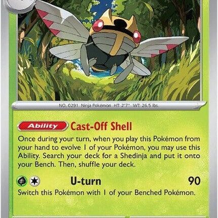 17-ninjask