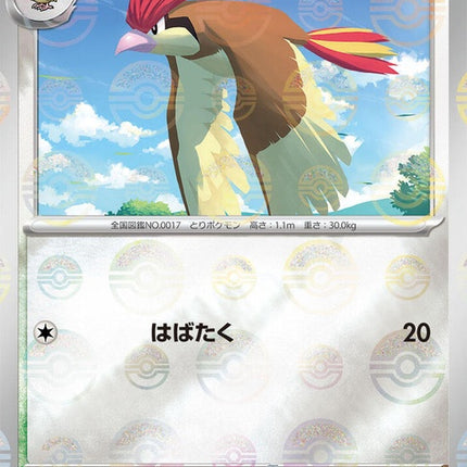 17-pidgeotto-pokeballpattern