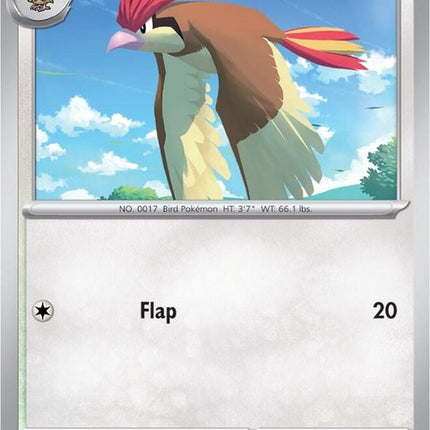 17-pidgeotto