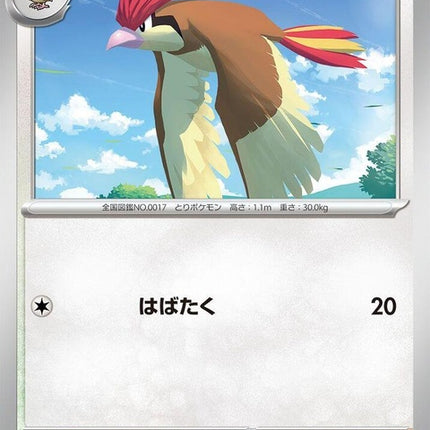 17-pidgeotto