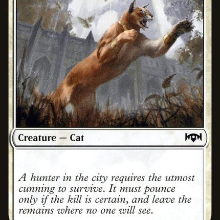 17-prowlingcaracal