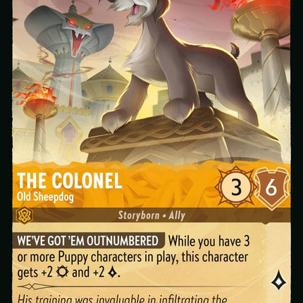 17-thecolonel-oldsheepdog