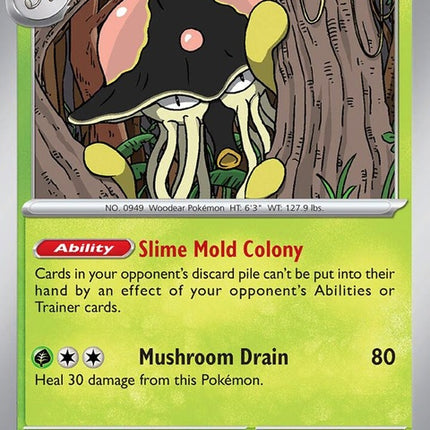17-toedscruel